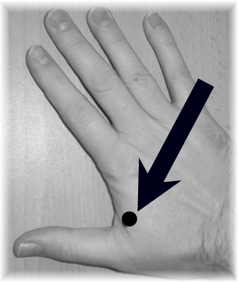 Biodot® Stresspunkt auf der Hand Biodot® Stresspunkt auf der Hand